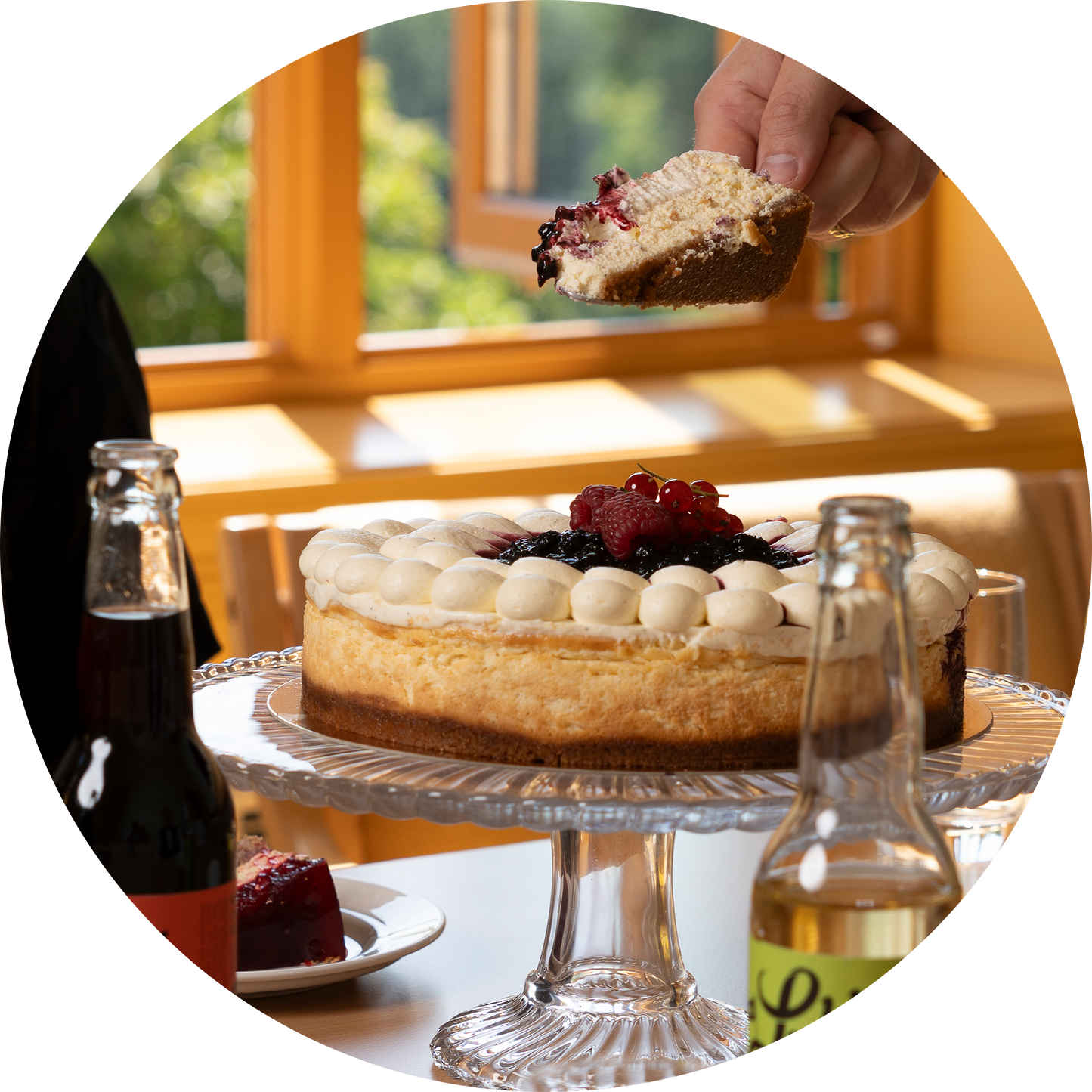 Bakt ostekake med norske blåbær